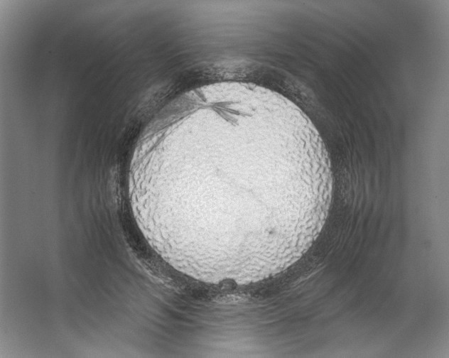 X0000067340594200604281447