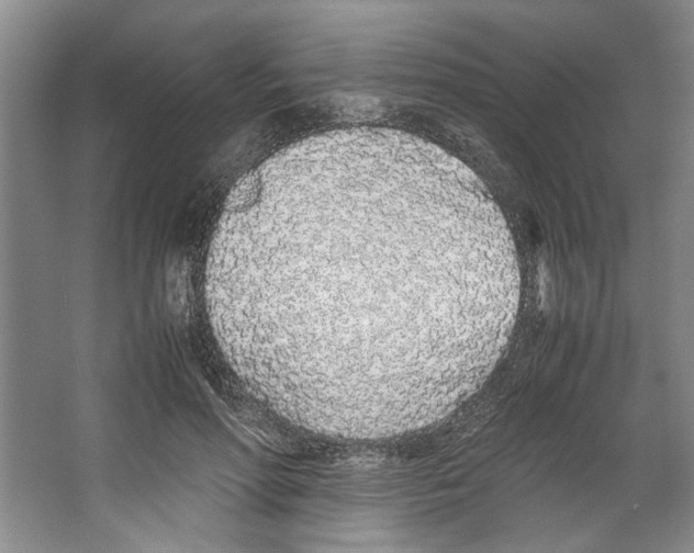 X0000067340598200604281447
