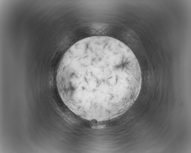 X0000067340602200604281447