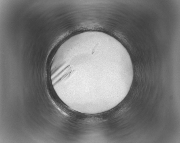 X0000067340630200604281446