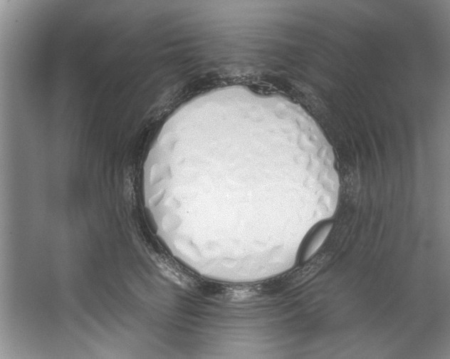 X0000067340662200604281446