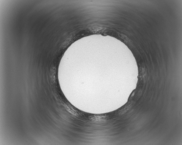 X0000067340664200604281446