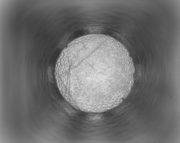 X0000067340667200604281446