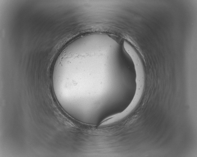 X0000067340673200604281445
