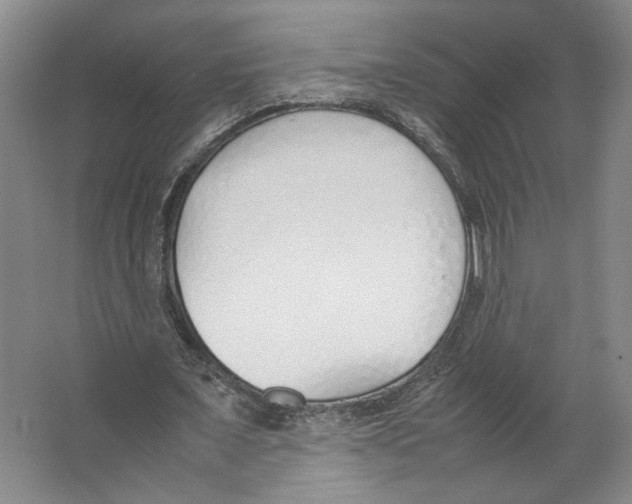 X0000067340675200604281445