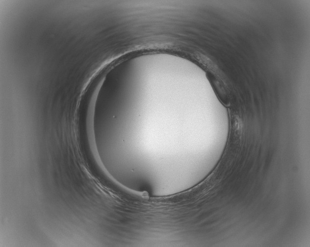 X0000067340676200604281445