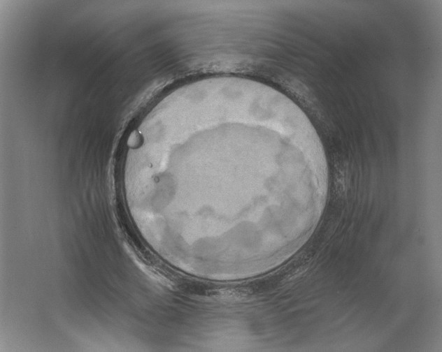 X0000067340678200604281445