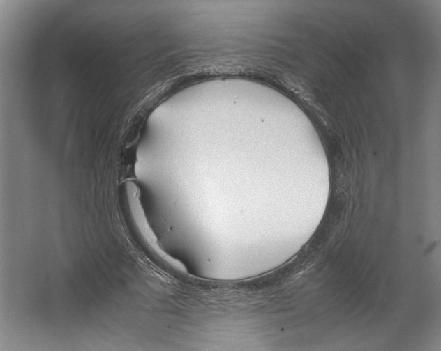 X0000067340681200604281445