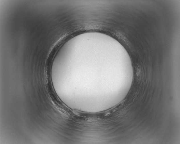 X0000067340684200604281445