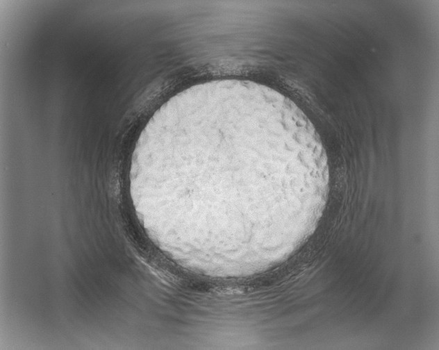 X0000067340687200604281445