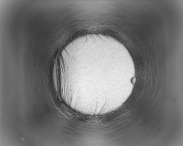 X0000067340691200604281445