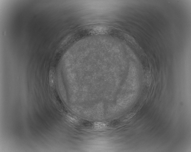 X0000067340701200604281445