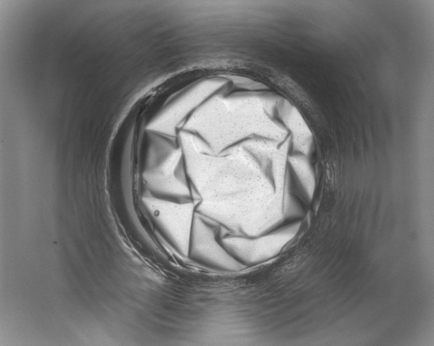 X0000067340724200604281444