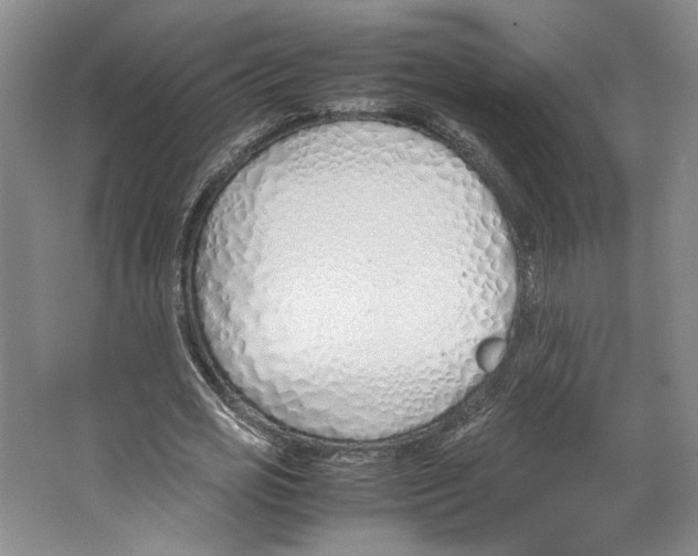 X0000067340725200604281444