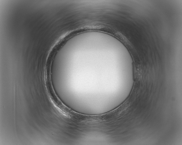 X0000067340726200604281444