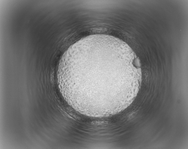 X0000067340745200604281444