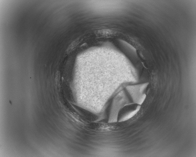 X0000067340760200604281445