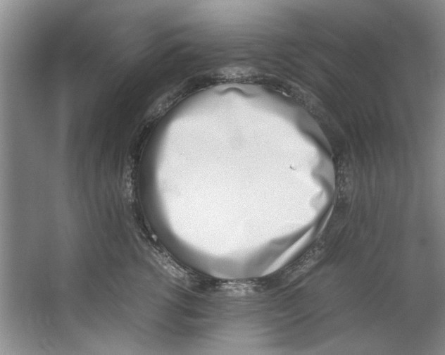X0000067340762200604281445
