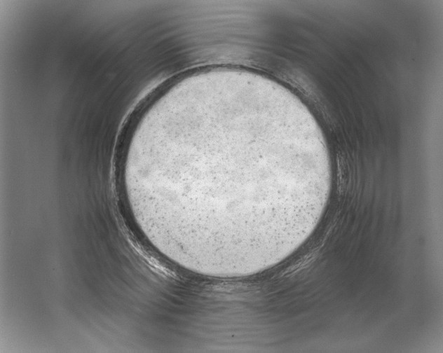 X0000067340780200604281444