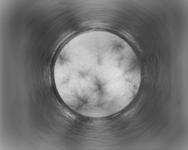 X0000067340782200604281444