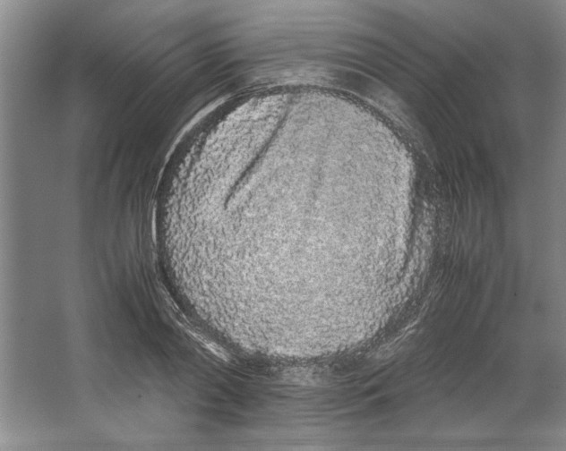 X0000067340790200604281443