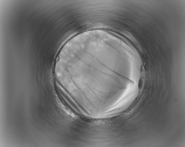 X0000067340806200604281443