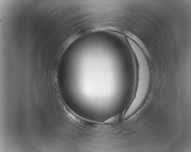 X0000067340809200604281443