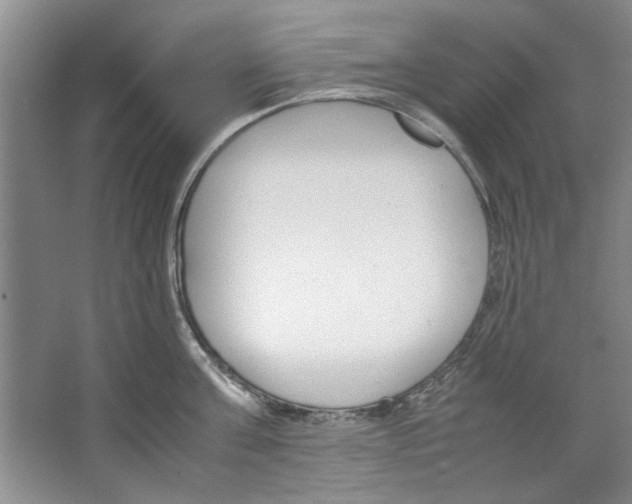 X0000067340811200604281443