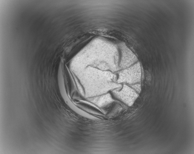 X0000067340818200604281442
