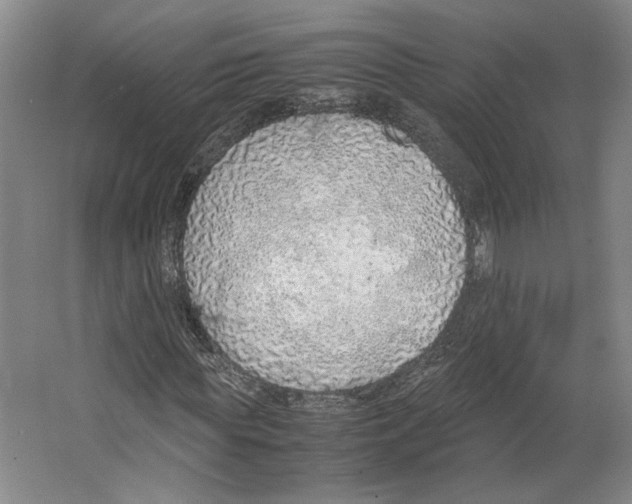 X0000067340819200604281442