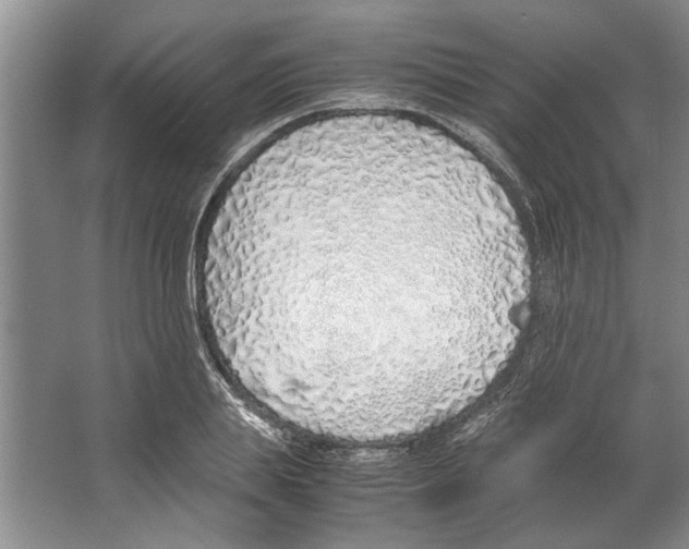 X0000067340839200604281443