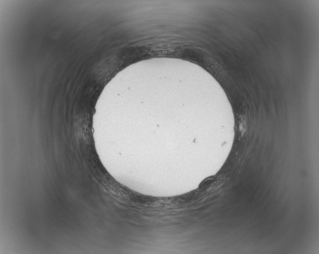 X0000067340867200604281442