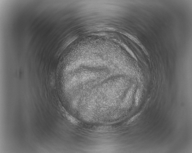 X0000067340889200604281442