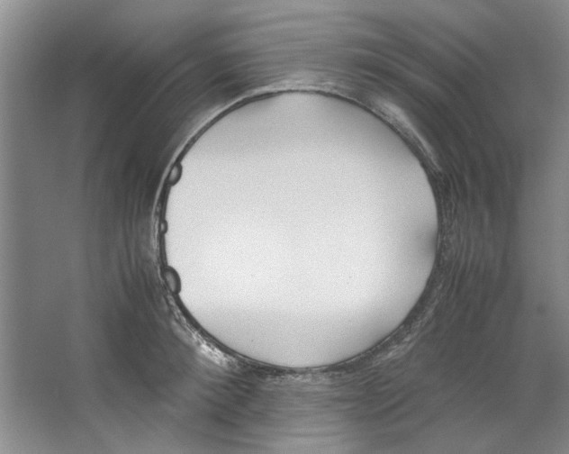X0000067340900200604281442