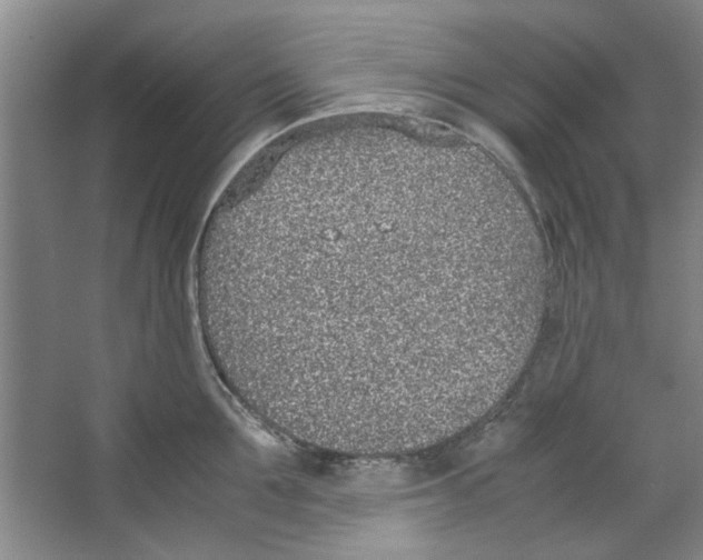 X0000067340907200604281442