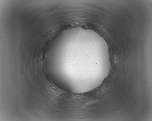 X0000067340915200604281441