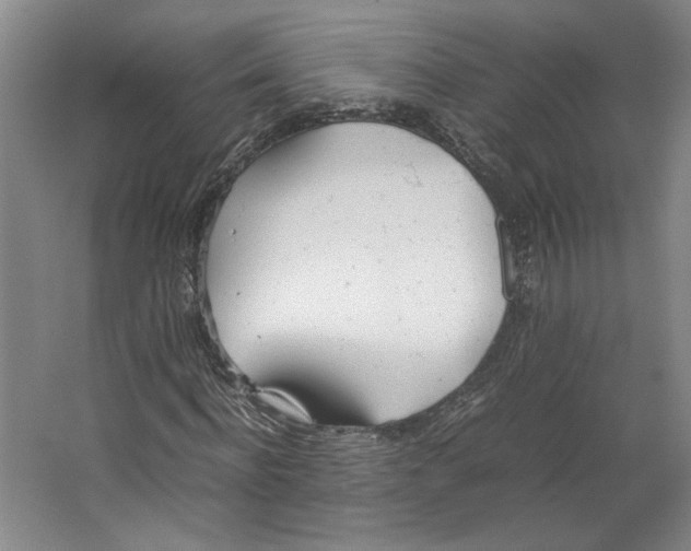 X0000067340916200604281441