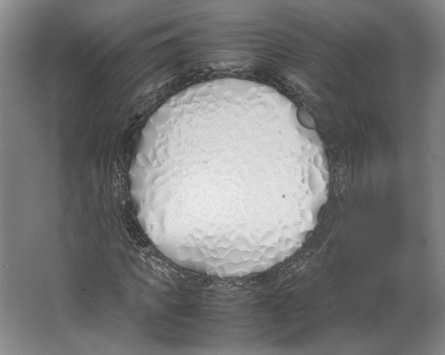 X0000067340917200604281441