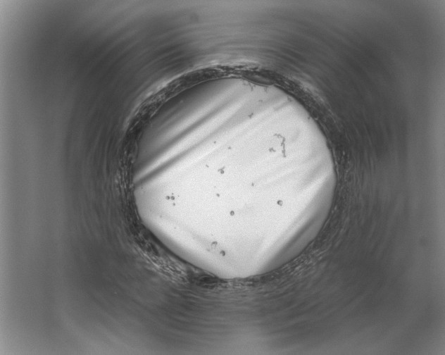 X0000067340920200604281441