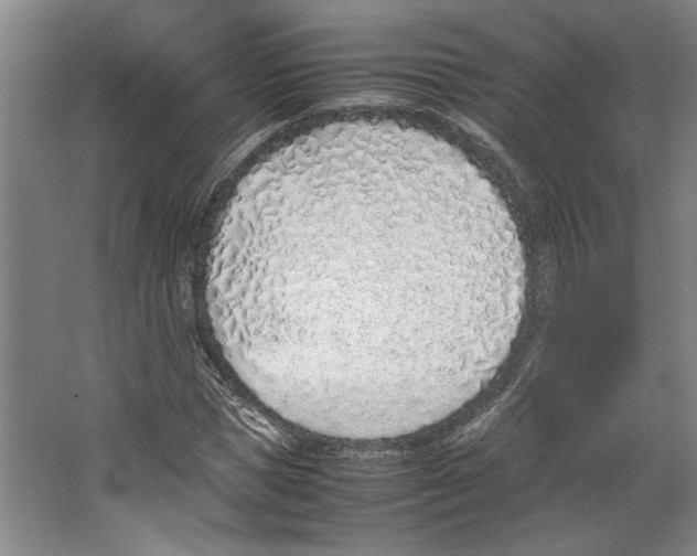 X0000067340921200604281441