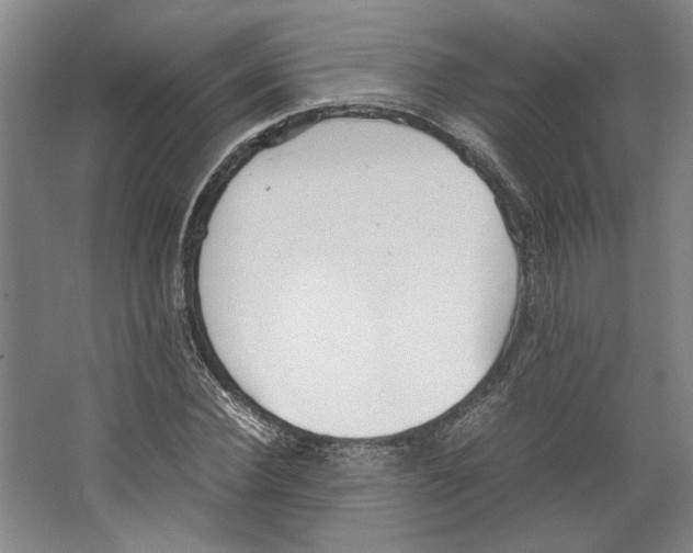 X0000067340924200604281441
