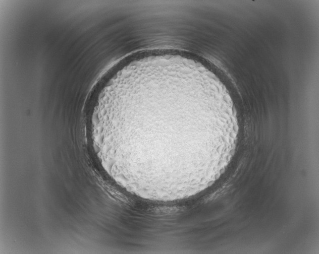 X0000067340925200604281441