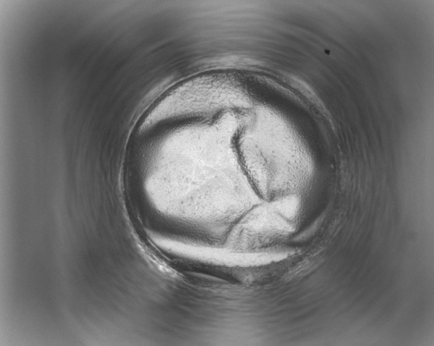 X0000067340946200604281441