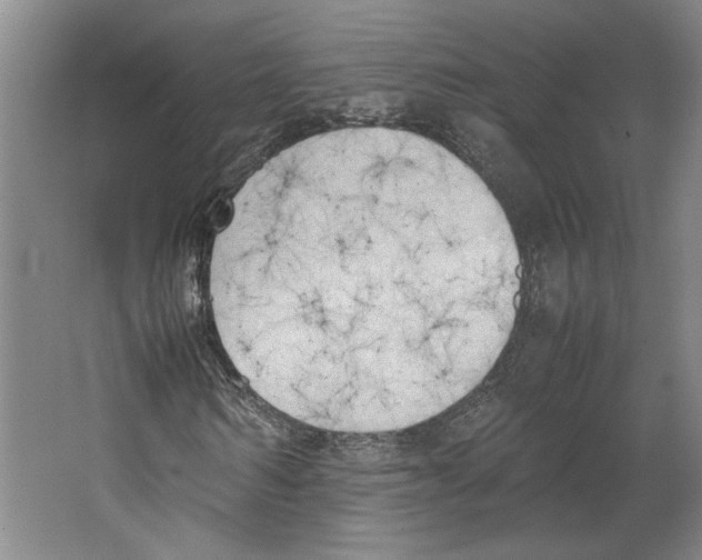 X0000067340962200604281441