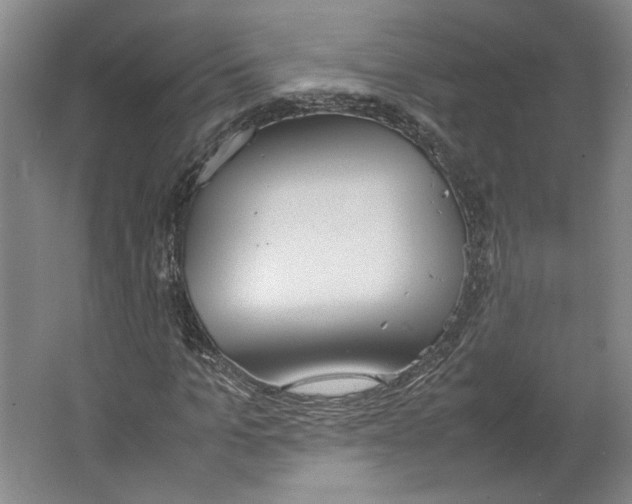 X0000067340965200604281441