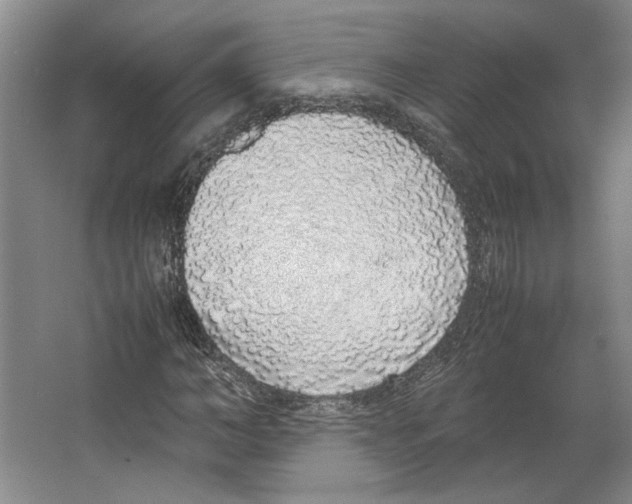 X0000067340966200604281441