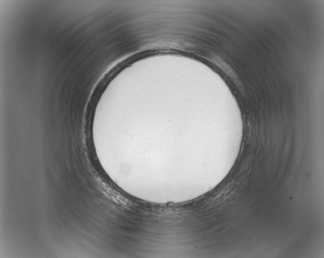 X0000067341020200604281439