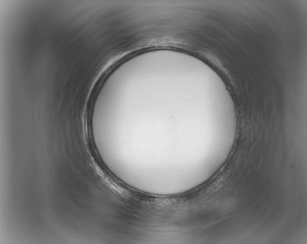 X0000067341032200604281439