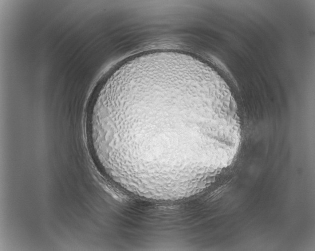 X0000067341035200604281439