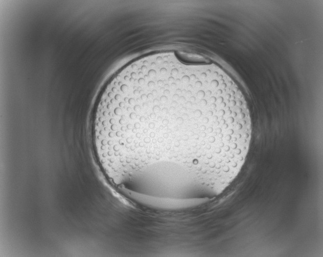X0000067341053200604281440